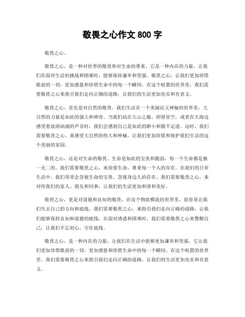 敬畏之心作文800字