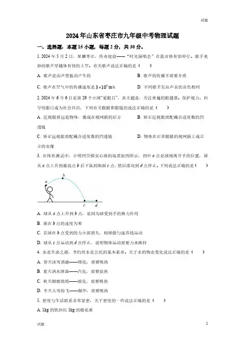 2024年山东省枣庄市中考真题试卷物理及答案