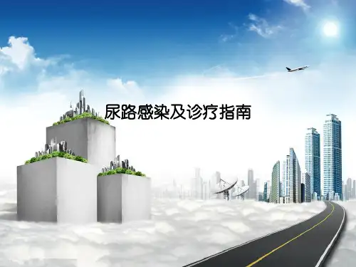 尿路感染及诊疗指南