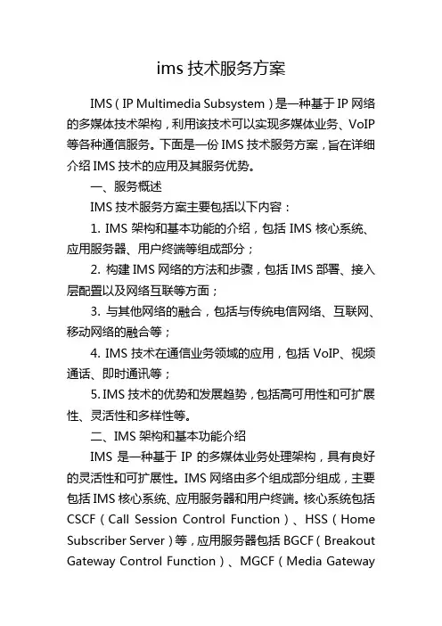 ims技术服务方案