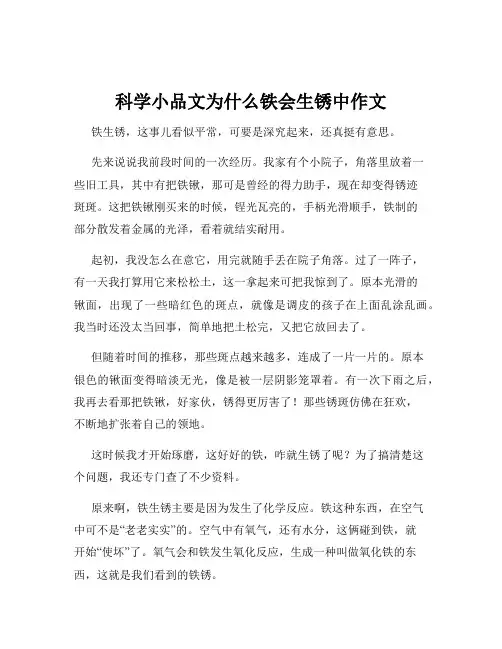 科学小品文为什么铁会生锈中作文