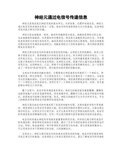 神经元通过电信号传递信息