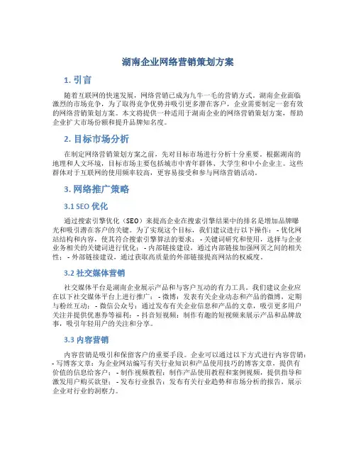 湖南企业网络营销策划方案