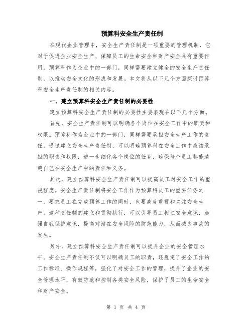 预算科安全生产责任制