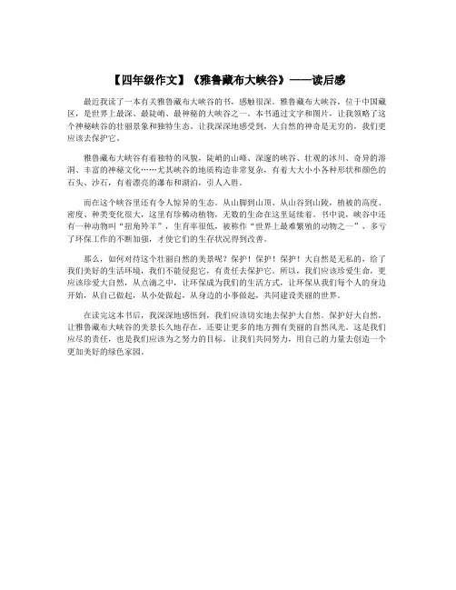 【四年级作文】《雅鲁藏布大峡谷》——读后感