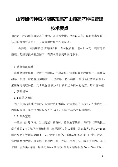 山药如何种植才能实现高产山药高产种植管理技术要点