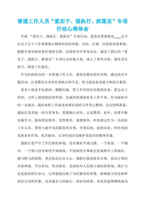 普通工作人员“重实干、强执行、抓落实”专项行动心得体会  