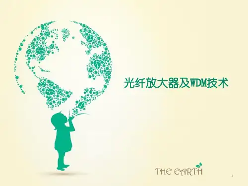 光纤通信放大器课件