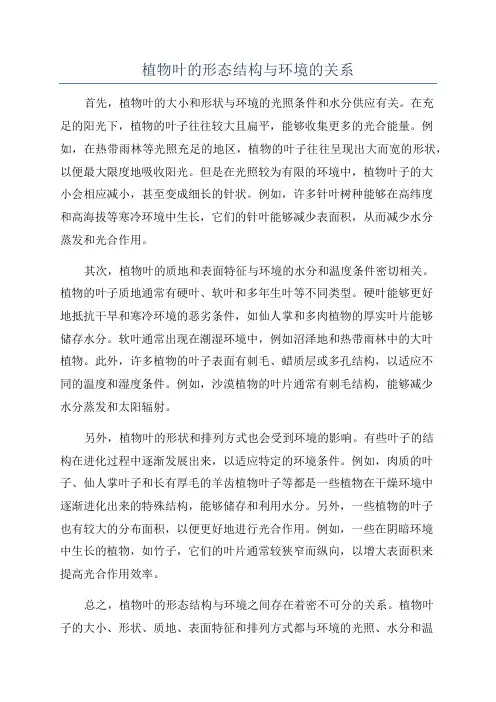 植物叶的形态结构与环境的关系
