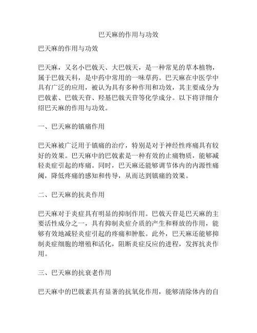 巴天麻的作用与功效