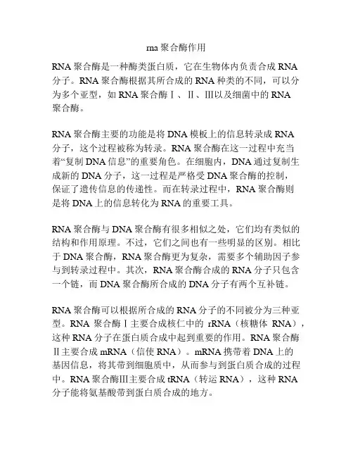 rna聚合酶作用
