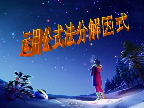 12.5.2运用公式法因式分解