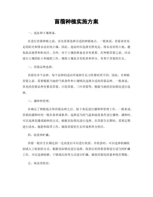 苜蓿种植实施方案