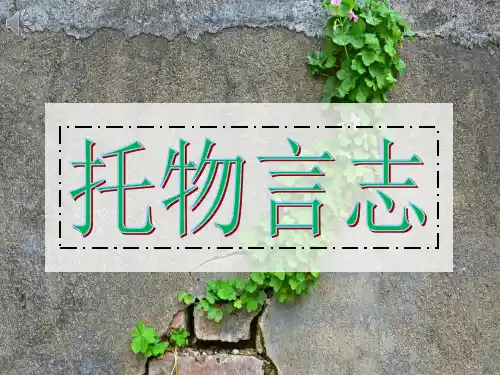 托物言志(精品)PPT课件