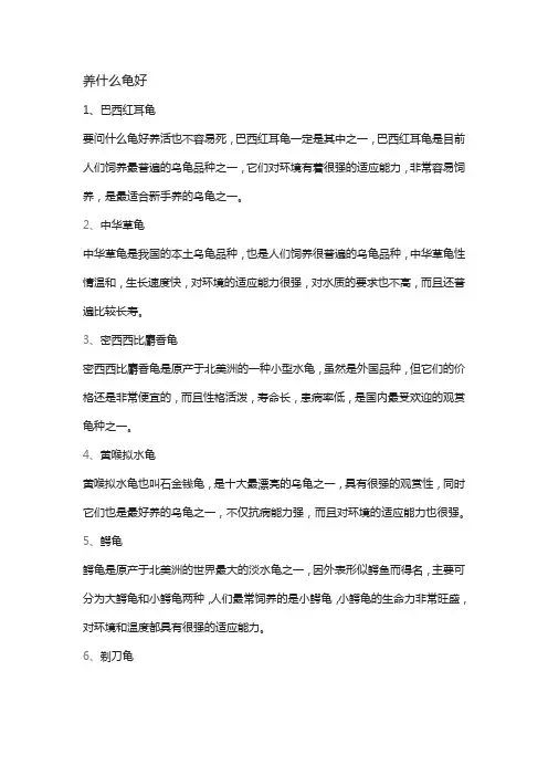 养什么龟好