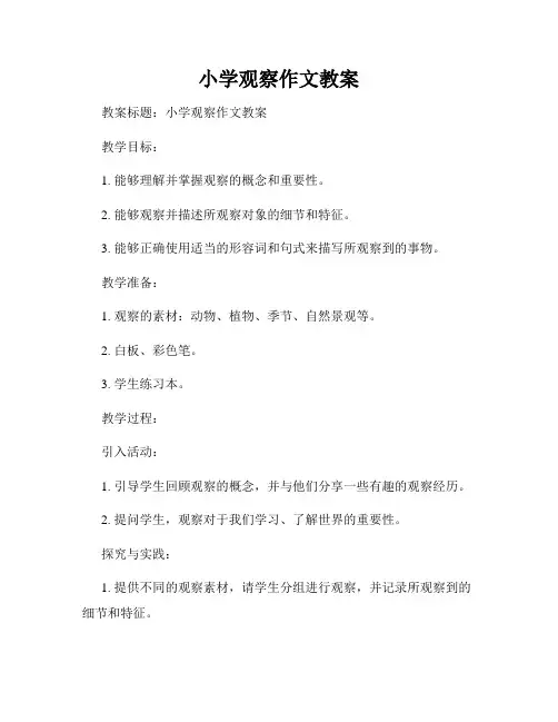 小学观察作文教案