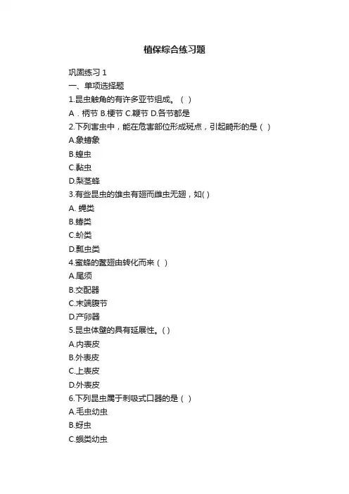 植保综合练习题