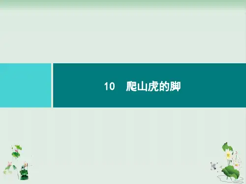 《爬山虎的脚》1
