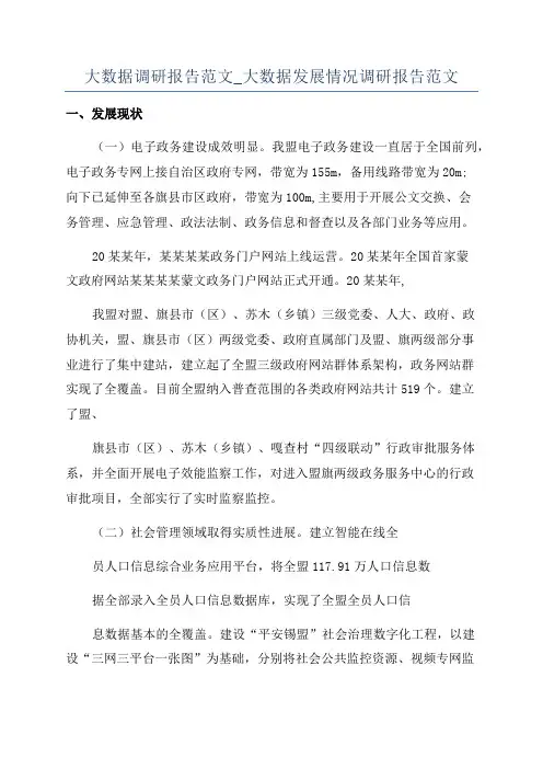 大数据调研报告范文_大数据发展情况调研报告范文