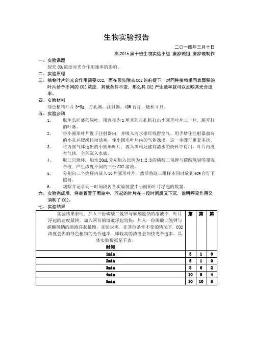 二氧化碳对光合速率的影响——生物实验报告