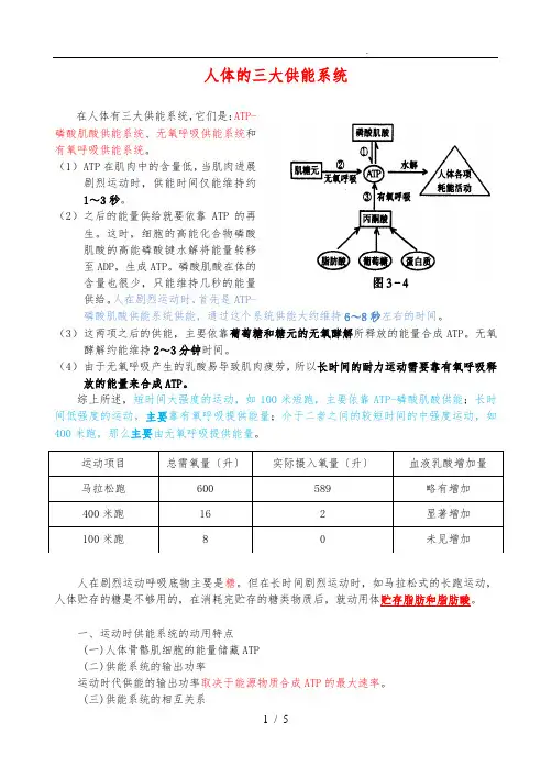 人体供能方式