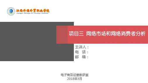 项目3 网络市场和网络消费者分析