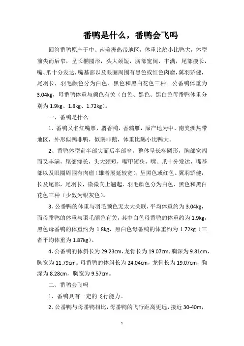 番鸭是什么,番鸭会飞吗