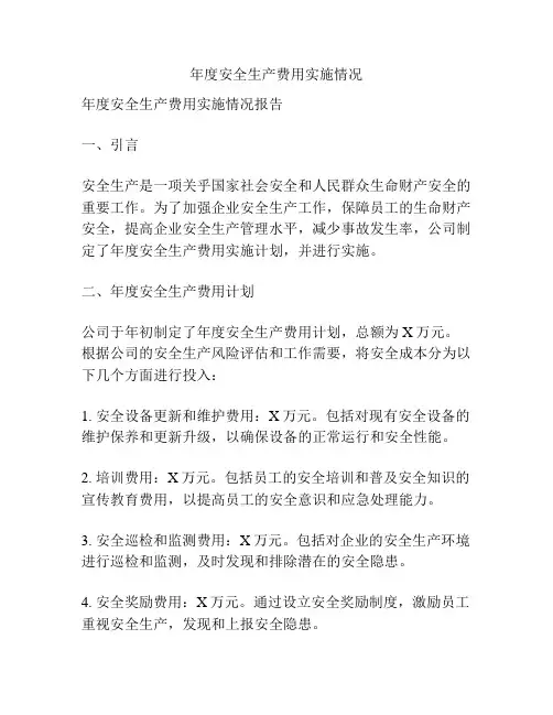 年度安全生产费用实施情况