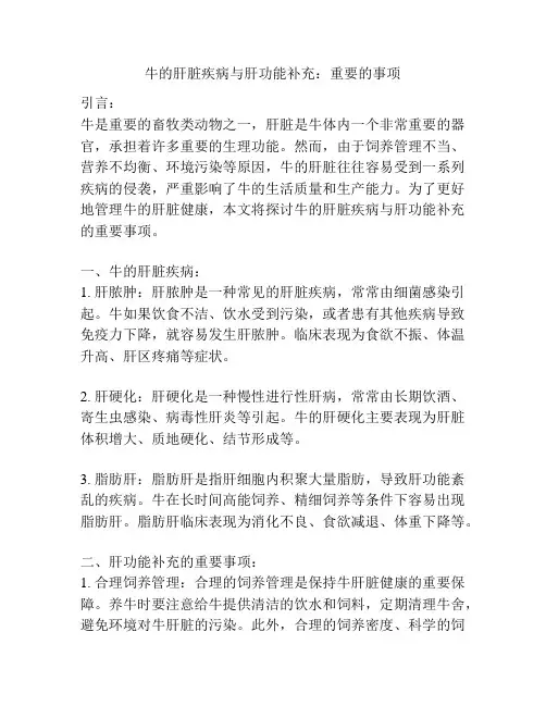 牛的肝脏疾病与肝功能补充：重要的事项