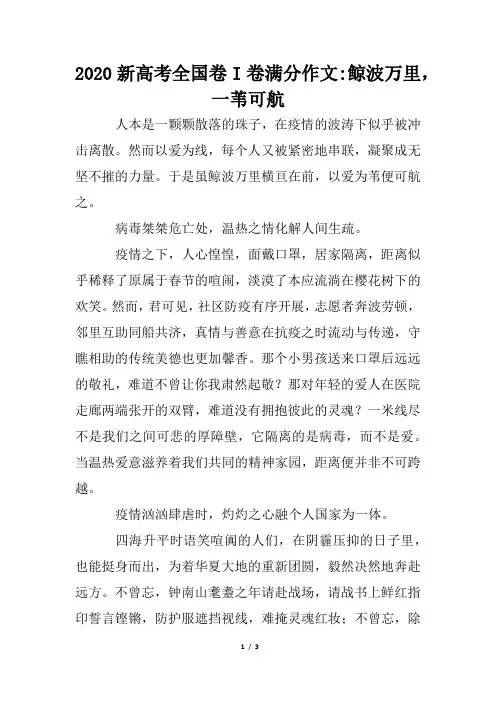 2020新高考全国卷I卷满分作文-鲸波万里,一苇可航