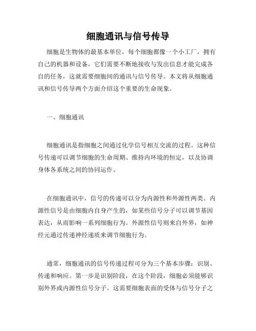 细胞通讯与信号传导