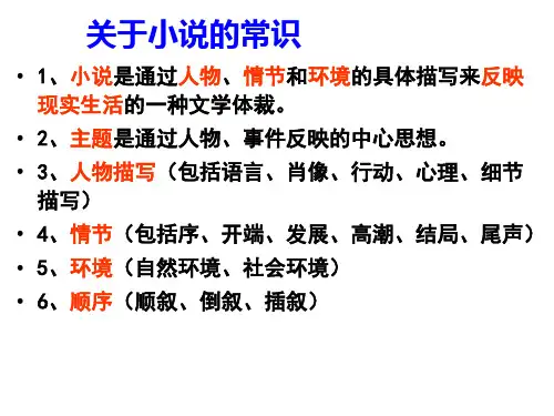 小说情节概括