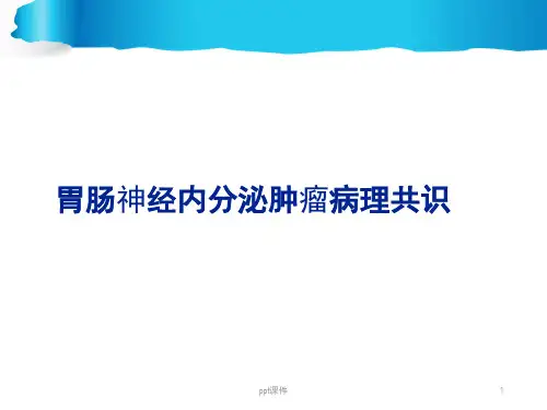 胃肠神经内分泌肿瘤病理共识  ppt课件