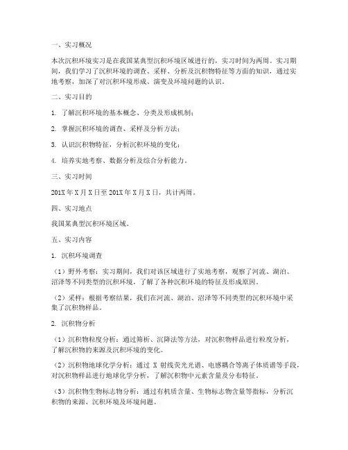 沉积环境实习报告