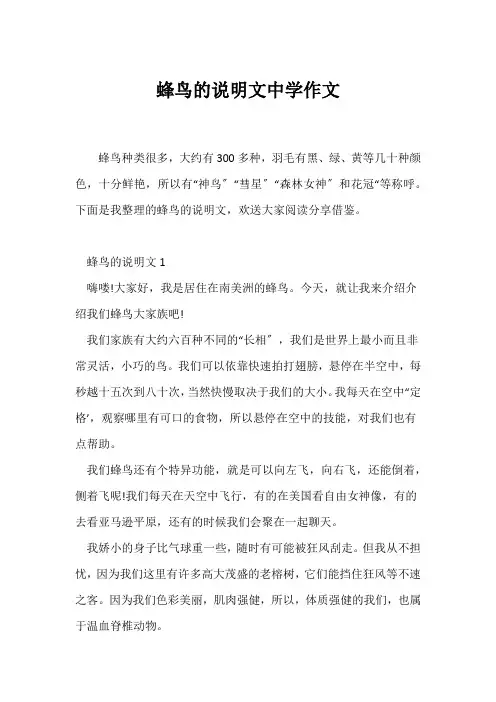 (说明文)蜂鸟的说明文中学作文