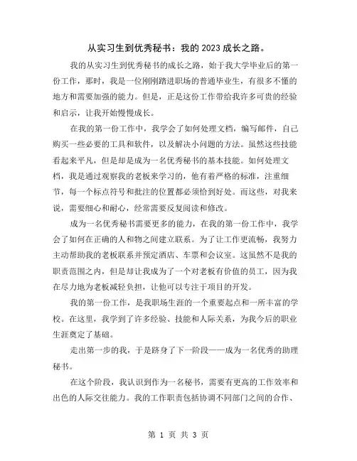 从实习生到优秀秘书：我的2023成长之路