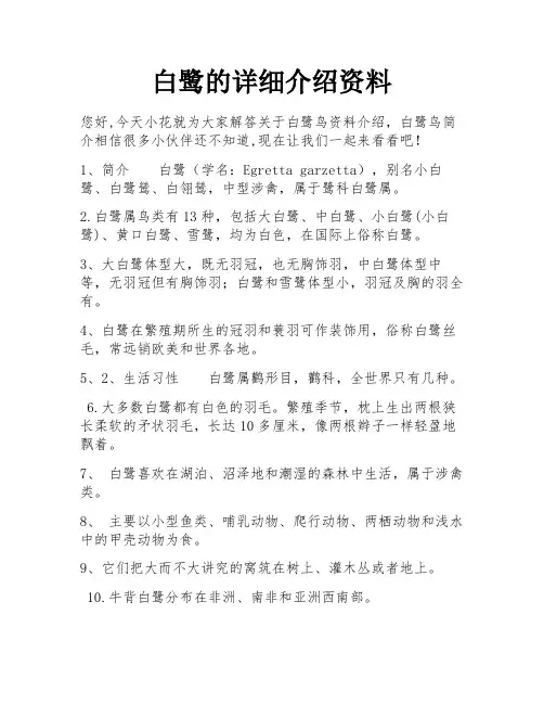 白鹭的详细介绍资料