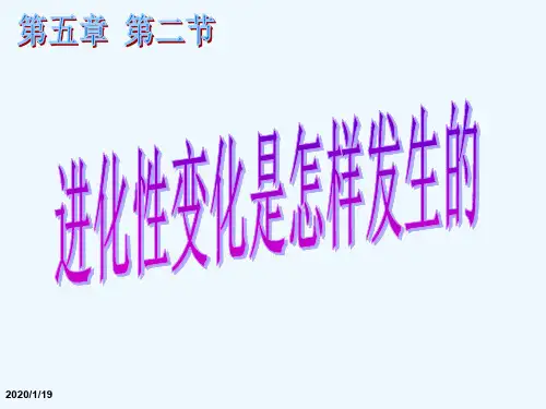 第五章 第2节 进化性变化是怎样发生的课件 浙科版必修2课件