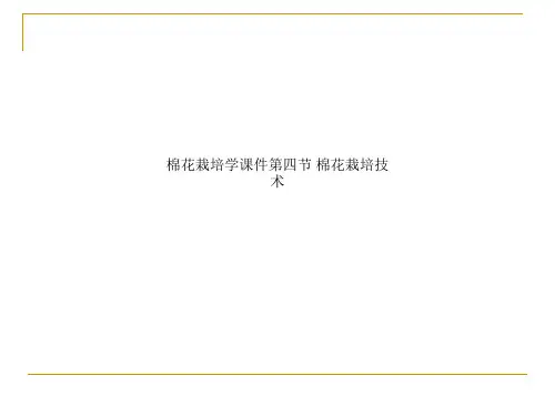 棉花栽培学课件第四节 棉花栽培技术