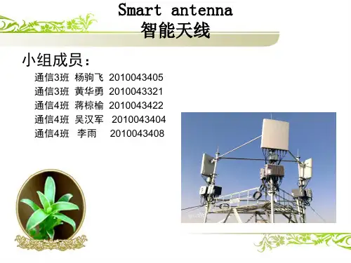 智能天线PPT 2