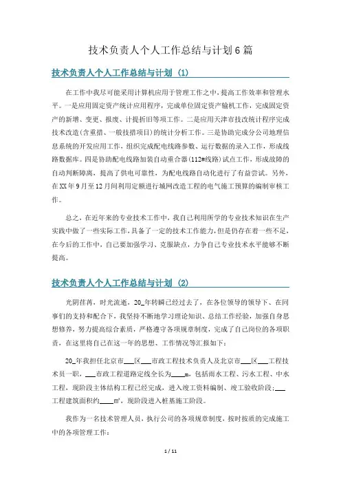 技术负责人个人工作总结与计划6篇