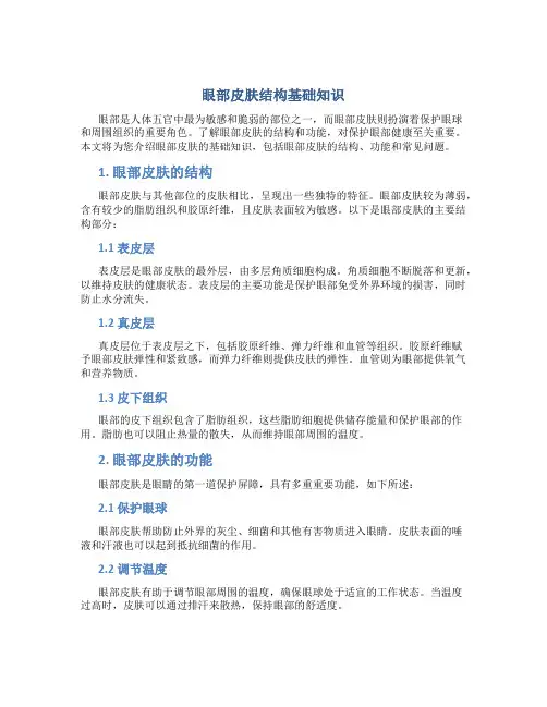 眼部皮肤结构基础知识