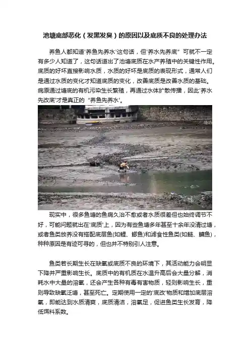 池塘底部恶化（发黑发臭）的原因以及底质不良的处理办法