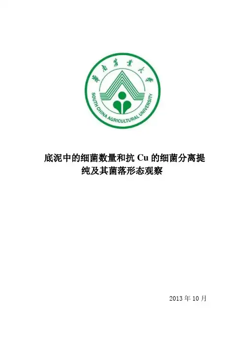 微生物实验报告