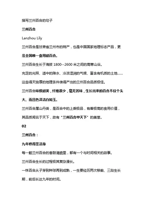 描写兰州百合的句子