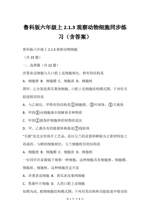 鲁科版六年级上2.1.3观察动物细胞同步练习(含答案)
