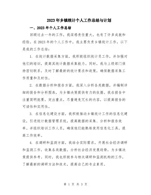 2023年乡镇统计个人工作总结与计划