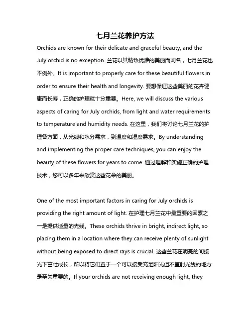 七月兰花养护方法
