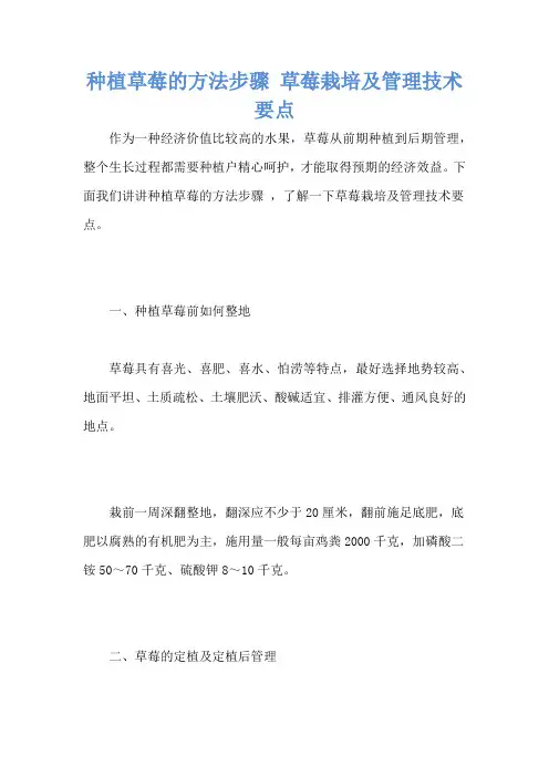 种植草莓的方法步骤 草莓栽培及管理技术要点