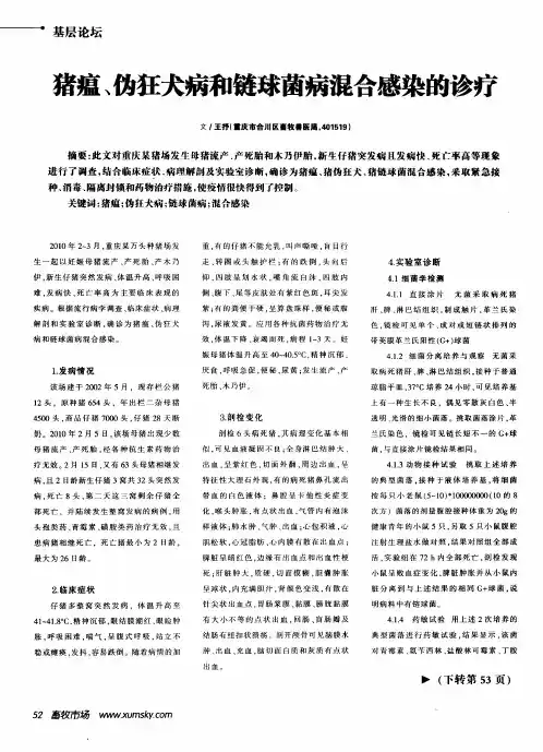 猪瘟、伪狂犬病和链球菌病混合感染的诊疗